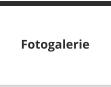 Fotogalerie
