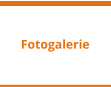 Fotogalerie