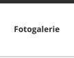 Fotogalerie