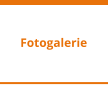 Fotogalerie