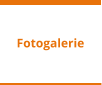 Fotogalerie