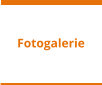 Fotogalerie