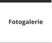 Fotogalerie
