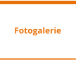 Fotogalerie