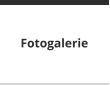 Fotogalerie