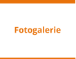 Fotogalerie