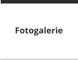 Fotogalerie