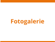 Fotogalerie